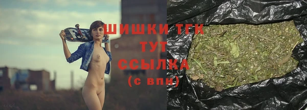 дмт Приозерск