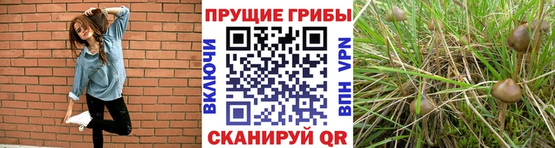 Псилоцибиновые грибы MAGIC MUSHROOMS Ак-Довурак